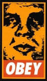 Griny Obey (Orange) - 2.5" x 4.25"