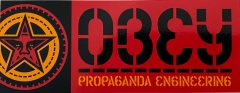 Propaganda Engineering (Orange) - 4.75" x 1.88"