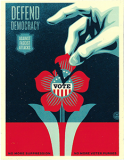 Defend Democracy - 4.25" x 5.5"