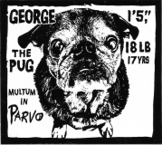 George The Pug - 3" x 2.63"