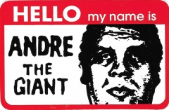 HELLO my name is (Red) - 4" x 2.5"