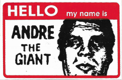 HELLO my name is (Red/rectangle) - 3.88" x 2.63"
