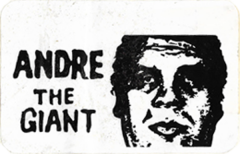 HELLO my name is (White) - 4" x 2.5"