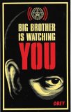 Big Brother is Watching You - 4" x 6"