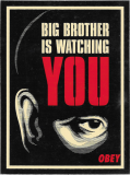 Big Brother is Watching You - 3" x 4"