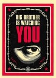 Big Brother Is Watching You - 4.75" x 6.5"