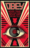 Never Trust Your Own Eyes - 3.75" x 6"