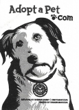 Adopt a Pet (Small)