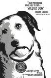 Shelter Dog