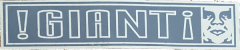 !GIANT! (Chrome/Gray) - 5.25" x 1.25"